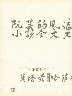 阮芸的风流人生小说全文免费阅读封面