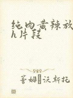 纯肉黄辣放荡高h片段