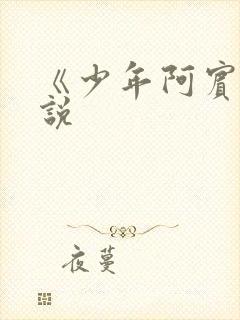 《少年阿宾》小说