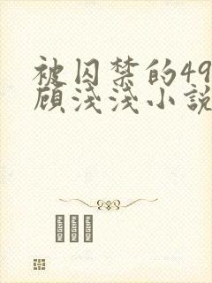 被囚禁的49天顾浅浅小说全文阅读无弹窗