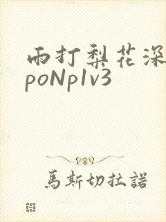 雨打梨花深闭门poNp1v3封面