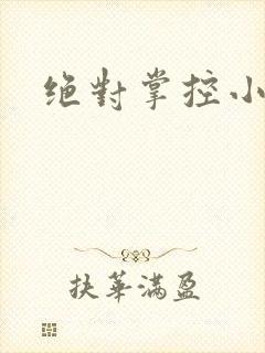 绝对掌控小说封面