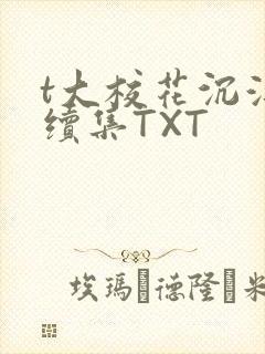 t大校花沉浮录续集TXT