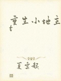 重生小地主txt
