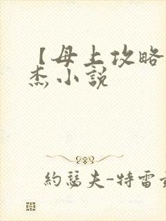 【母上攻略】小杰小说