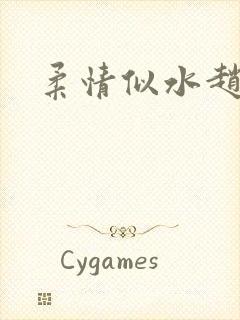 柔情似水赵雅儿封面