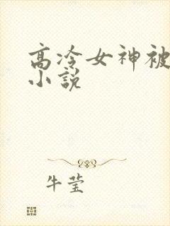 高冷女神被调教小说
