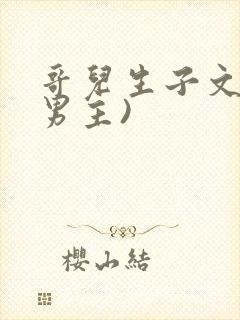 哥儿生子文(双男主)