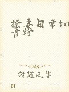 撩妻日常txt青灯
