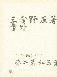 三分野原著小说番外封面