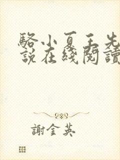 骆小夏王先生小说在线阅读