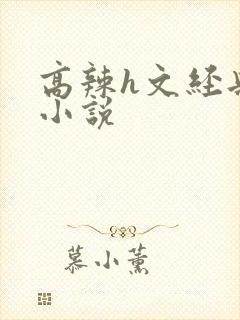 高辣h文经典乱小说