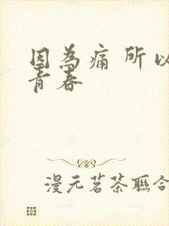因为痛 所以叫青春