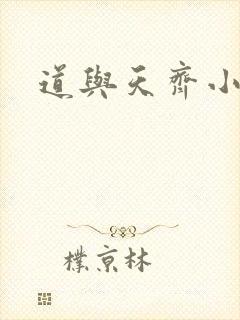 道与天齐小说