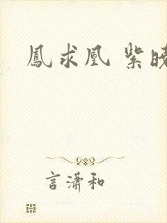 凤求凰 紫晓封面