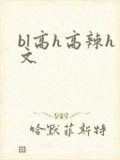 bl高h高辣h文