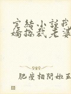 完结小说我的傲娇总裁老婆