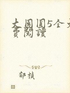 大团圆5全文免费阅读封面