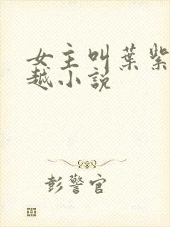 女主叫叶紫的穿越小说