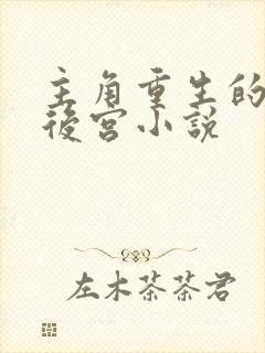 主角重生的美艳后宫小说