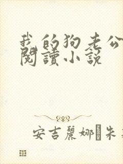 我的狗老公在线阅读小说封面