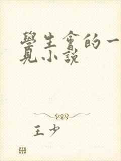 学生会的一己之见小说