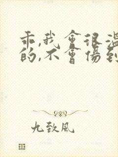 乖,我会很温柔的,不会伤到你小说封面