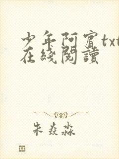 少年阿宾txt在线阅读