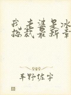 我老婆是冰山女总裁最新章节阅读封面