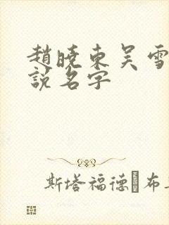 赵晓东吴雪晴小说名字封面