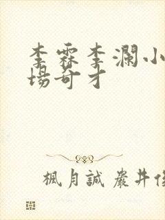 李霖李澜小说官场奇才