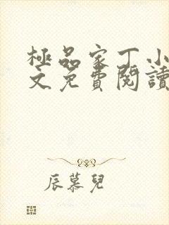 极品家丁小说全文免费阅读笔趣阁