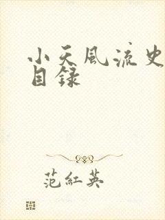 小天风流史全文目录