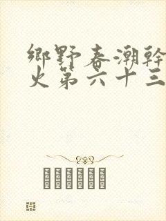 乡野春潮干柴烈火第六十三章