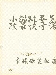 小猫跳蚤怎么去除最快方法