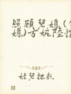 照顾儿媳 (公媳)方婉陆怀洲小说封面