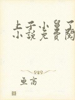 上子小舅了老婆小说免费阅读封面