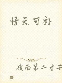 情天可补