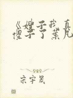 《嫂子我真不是傻子了叶凡》