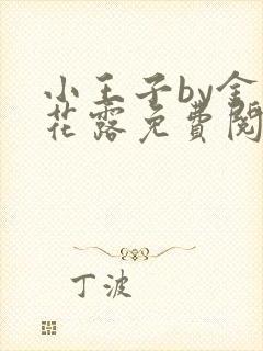 小王子by金银花露免费阅读笔趣阁