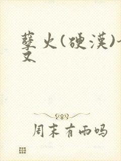 孽火(硬汉)今又