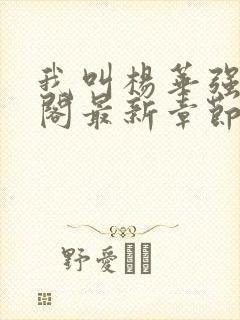 我叫杨华强笔趣阁最新章节无弹窗