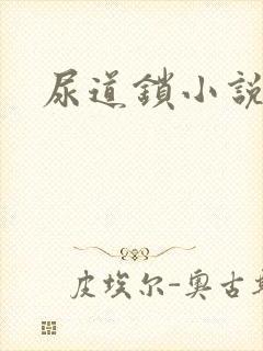 尿道锁小说封面