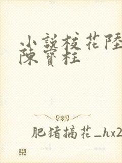 小说校花陆冰嫣陈宝柱