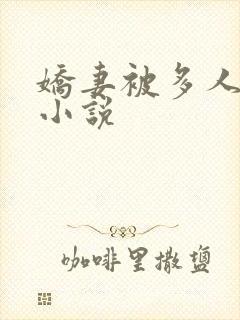 娇妻被多人调教小说