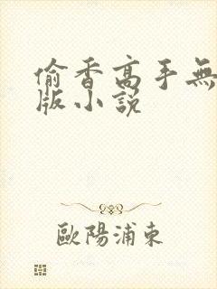 偷香高手无删减版小说