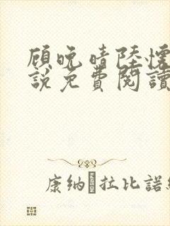 顾晚晴陆怀铮小说免费阅读最新章节封面
