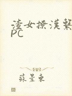 渣女撩汉系统NPC
