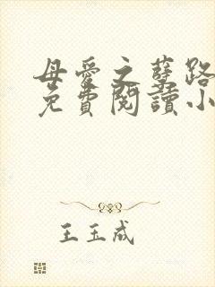 母爱之孽路全文免费阅读小说最新章