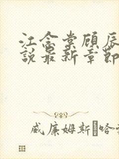 江念棠顾辰聿小说最新章节免费阅读